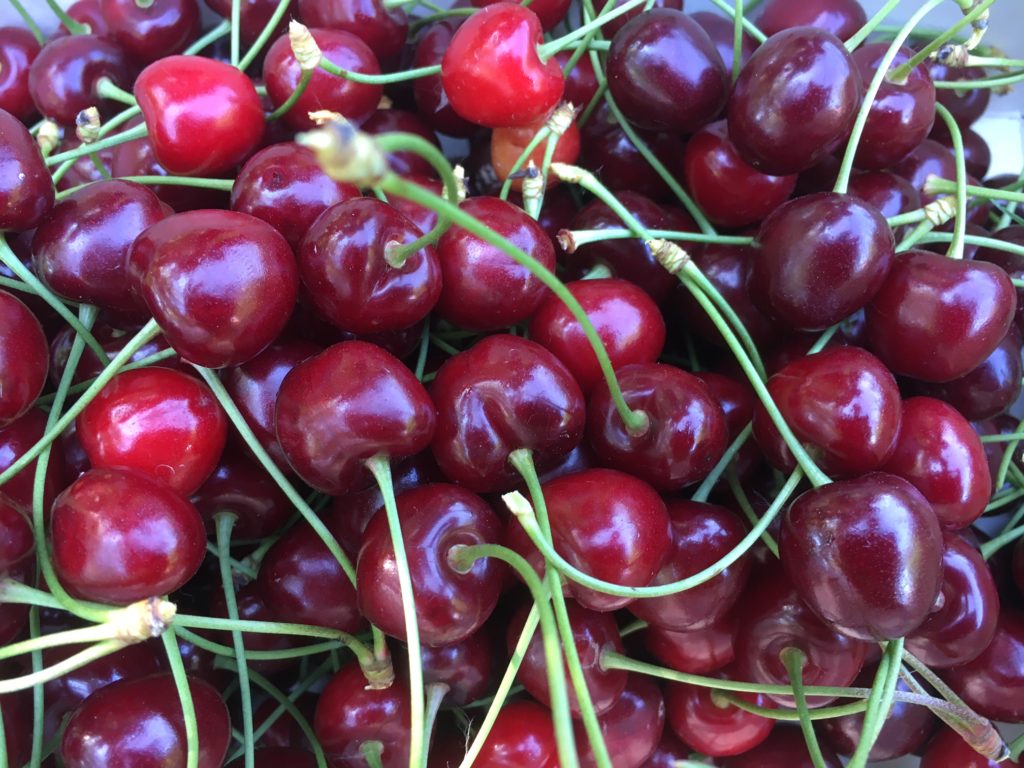 Torta di ciliegie fresche ricetta originale